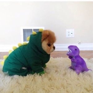 Meet your Posher, Amina